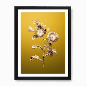 Gold Botanical Field Bindweed on Mango Yellow n.3019 Art Print