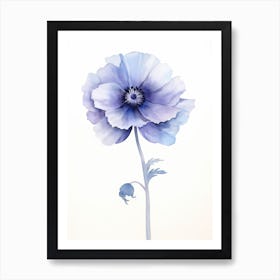 Blue Poppy 1 Art Print