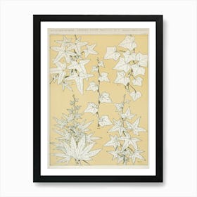 Vintage Pattern Illustration, Owen Jones                                                                                                Art Print