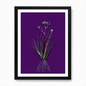 Vintage Blue CornLily Black and White Gold Leaf Floral Art on Deep Violet n.0683 Art Print