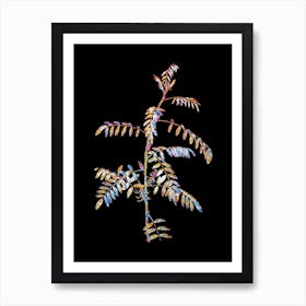 Stained Glass Flowering Indigo Plant Mosaic Botanical Illustration on Black n.0085 Art Print