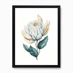 Minimal White Protea Flower Painting (10) Art Print