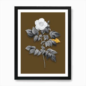Vintage Leschenaults Rose Black and White Gold Leaf Floral Art on Coffee Brown n.0345 Art Print