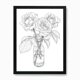 vase with roses drawing