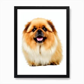 Pekingese Illustration Dog Art Print