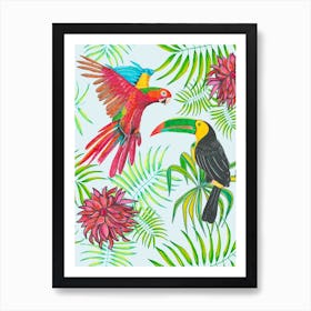 Animal Kingdom Birds Art Print