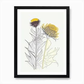 Elecampane Spices And Herbs Minimal Line Drawing 1 Art Print