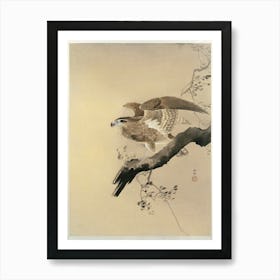 Hawk (1887 1945), Ohara Koson Art Print