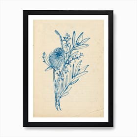 Blue Banksia Vintage Art Print
