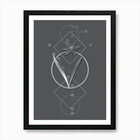 Vintage Tulipa Celsiana Botanical with Line Motif and Dot Pattern in Ghost Gray n.0355 Art Print