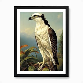 Osprey Haeckel Style Vintage Illustration Bird Art Print