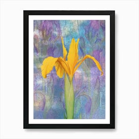 Yellow Iris 1 Art Print