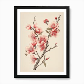 Sakura Cherry Blossom 4 Vintage Japanese Botanical Art Print