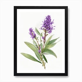 Ironweed Wildflower Watercolour Art Print