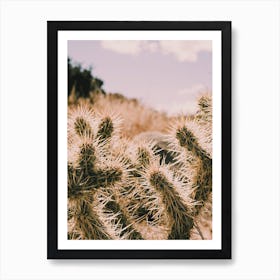 Warm Desert Cactus Art Print