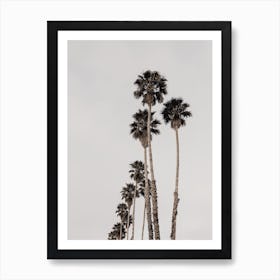 Palm Tree Scenery Art Print