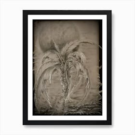 Coconut Tree #1 Art Print