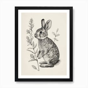 Dutch Blockprint Rabbit Illustration 1 Art Print