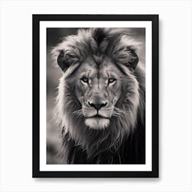 Portrait Of A Lion, Black And White Art Print