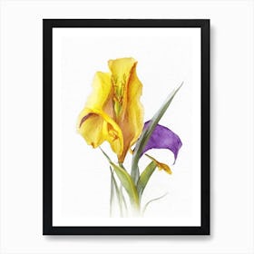 Yellow Flag Iris Wildflower Watercolour 1 Art Print