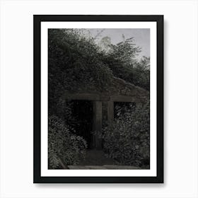 Cave In The Woods Art Print