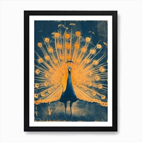 Orange & Blue Peacock With Feathers Out Art Print