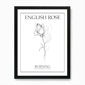 English Rose Burning Line Drawing 3 Poster Art Print