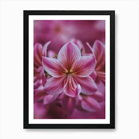 Pink Flowers Art Print