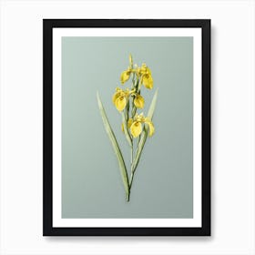 Vintage Irises Botanical Art on Mint Green n.0461 Art Print