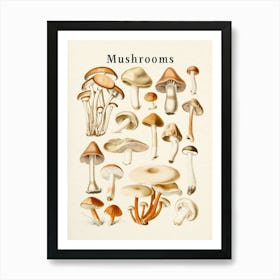 Mushrooms Collection Art Print