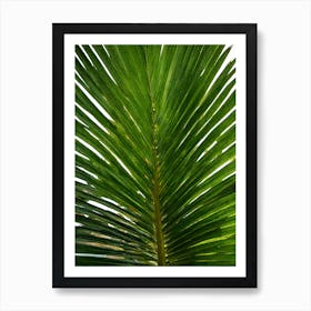 Palm Leaf Art Print