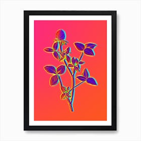 Neon Pink Clover Botanical in Hot Pink and Electric Blue n.0539 Art Print