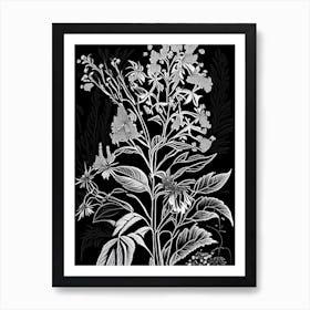 Black Snakeroot Wildflower Linocut 2 Art Print
