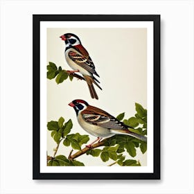 House Sparrow James Audubon Vintage Style Bird Art Print