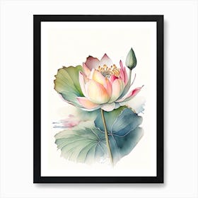 Lotus Flower In Garden Watercolour Ink Pencil 2 Art Print