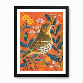 Spring Birds Hermit Thrush 1 Art Print