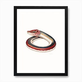 California Red Sided Garter Snake Vintage Art Print