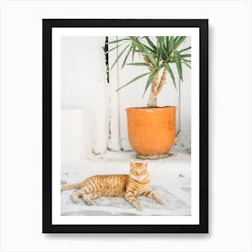 Ginger Cat In Greece Art Print