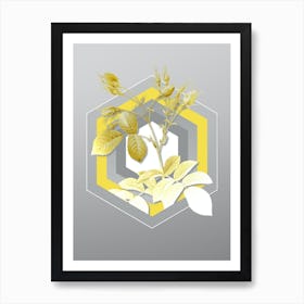 Botanical Evrat's Rose with Crimson Buds in Yellow and Gray Gradient n.330 Art Print