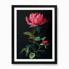 Peony Art Art Print