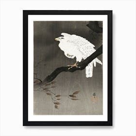 Snowy Eagle On A Tree Branch (1910 1930), Ohara Koson Art Print