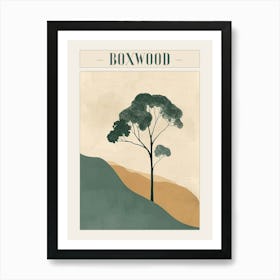 Boxwood Tree Minimal Japandi Illustration 2 Poster Art Print