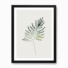 Yarrow Leaf Minimalist Watercolour 1 Art Print