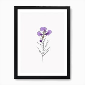 Nemesia Floral Minimal Line Drawing 3 Flower Art Print