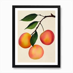 Peach Watercolour Fruit Painting Fruit Art Print