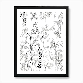 Flowers In Black And White Line Art Art Print