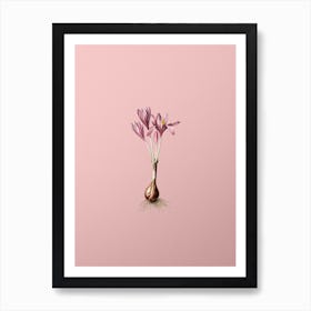 Vintage Autumn Crocus Botanical on Soft Pink Art Print