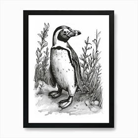 African Penguin Exploring 1 Art Print