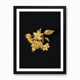 Vintage Crabapple Botanical in Gold on Black Art Print