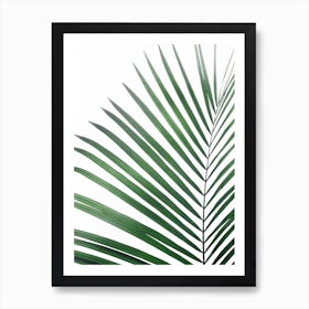 Palm Leaf Green Art Print